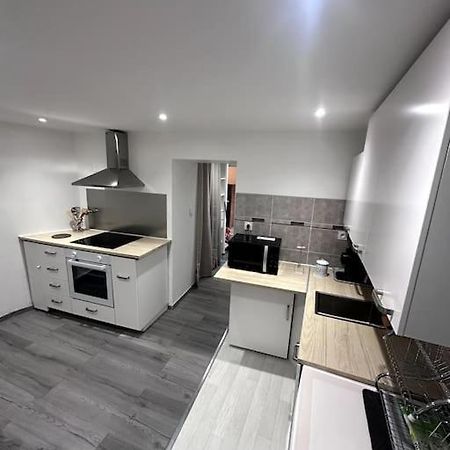 Appartement T4 En Hyper-Centre Bourgoin-Jallieu Екстер'єр фото