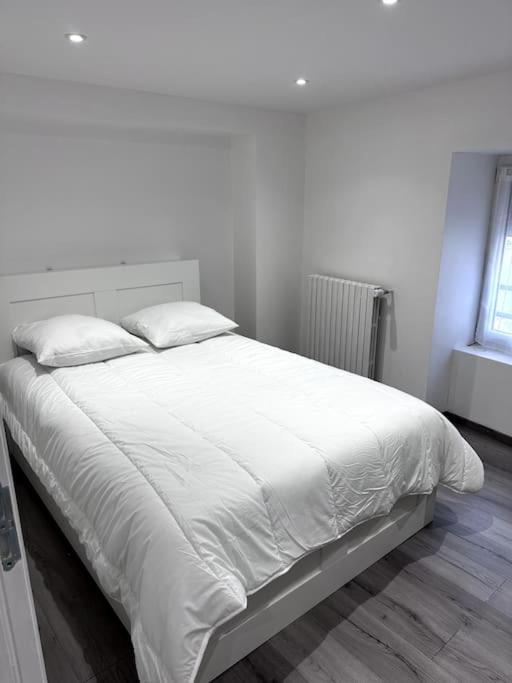 Appartement T4 En Hyper-Centre Bourgoin-Jallieu Екстер'єр фото