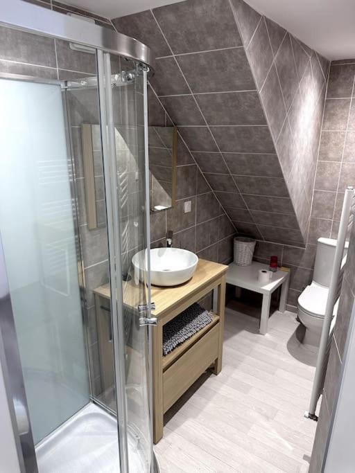 Appartement T4 En Hyper-Centre Bourgoin-Jallieu Екстер'єр фото